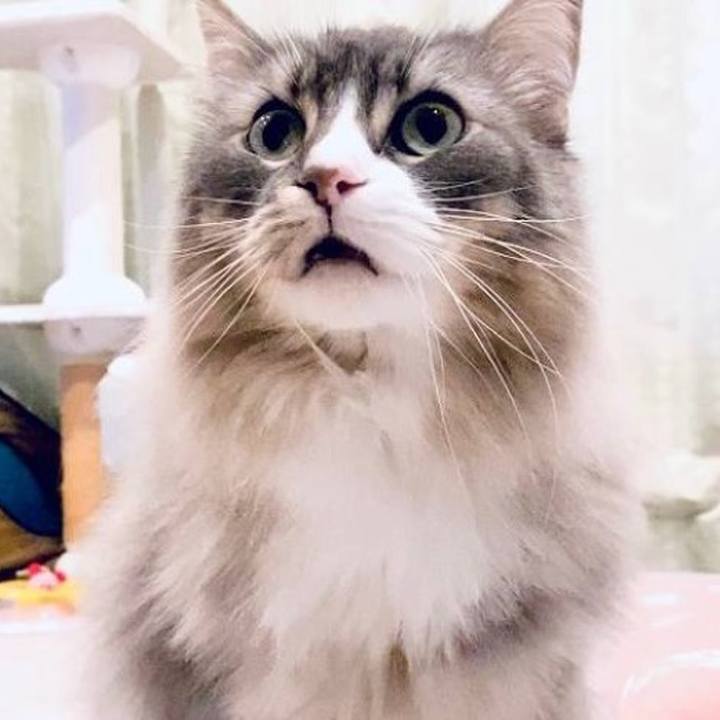 652ed480 949c 49e4 b5bc d74f67e7379f 1756913951873