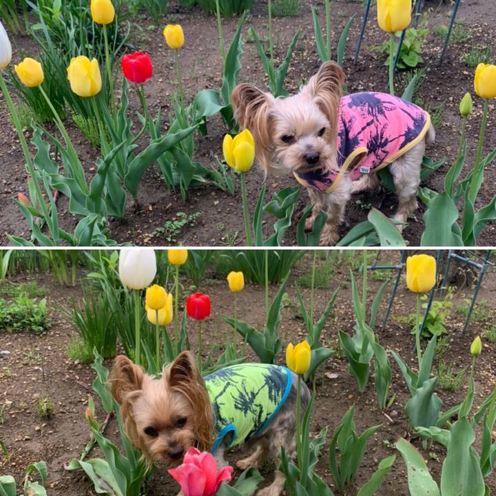 652ef4c5 bbf7 4231 80af 7b2a24cfef74 1621761522690