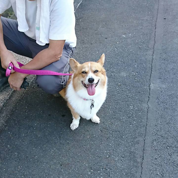 652f0d07 0cc8 4830 934c 1e61d3a51a67 1540883344300