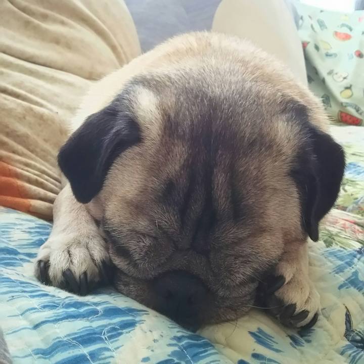 652f1326 bb2b 4b3b 9928 f01bf84341e2 1533345786112