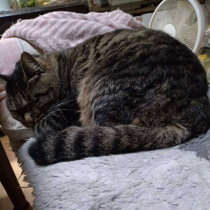 652f62e7 db4a 486b b78a a476d844c57a 1669030312366