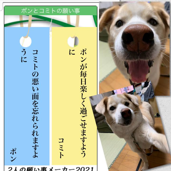 652f7db2 edc1 4948 b372 cae106805653 1625805231406