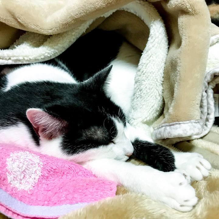 652f9b9f f5ea 43fe 9e23 1e821b9e8fc8 1511611612261