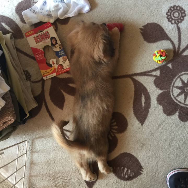 65304f5d 775f 4818 8a74 67d72bb35895 1539386420992