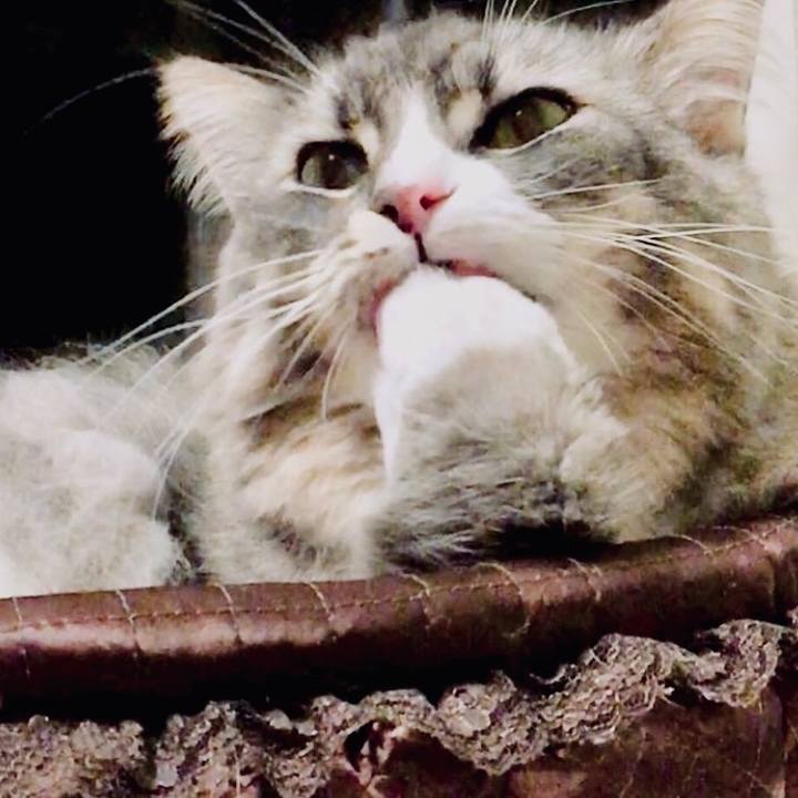 6530a59d ee9e 42c5 a3a2 6ea9b659171a 1616260186774