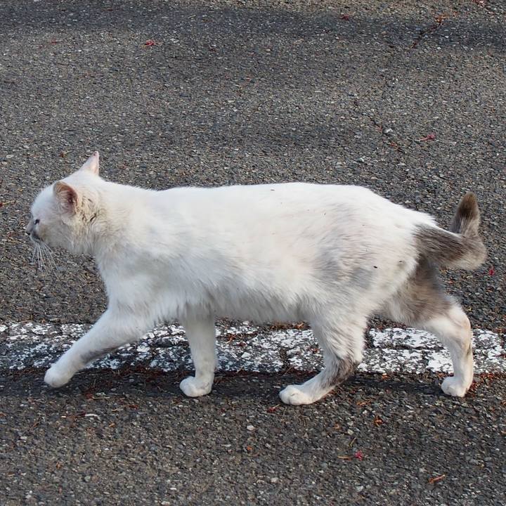 6530a949 e8b9 4d6c 96ba b8376d6e8158 1557653802973