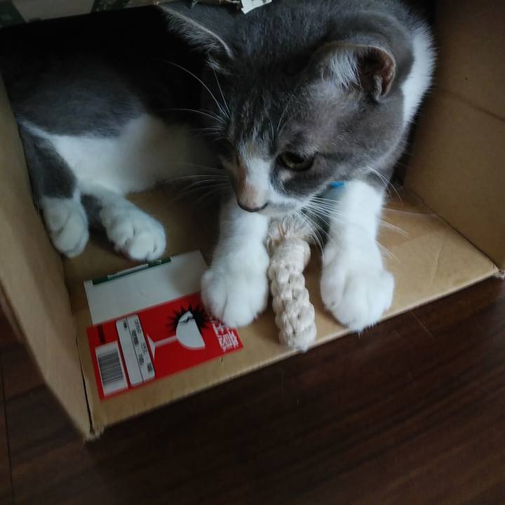 6530d87d 717d 4088 b88d b9d6f32d323c 1595805923189