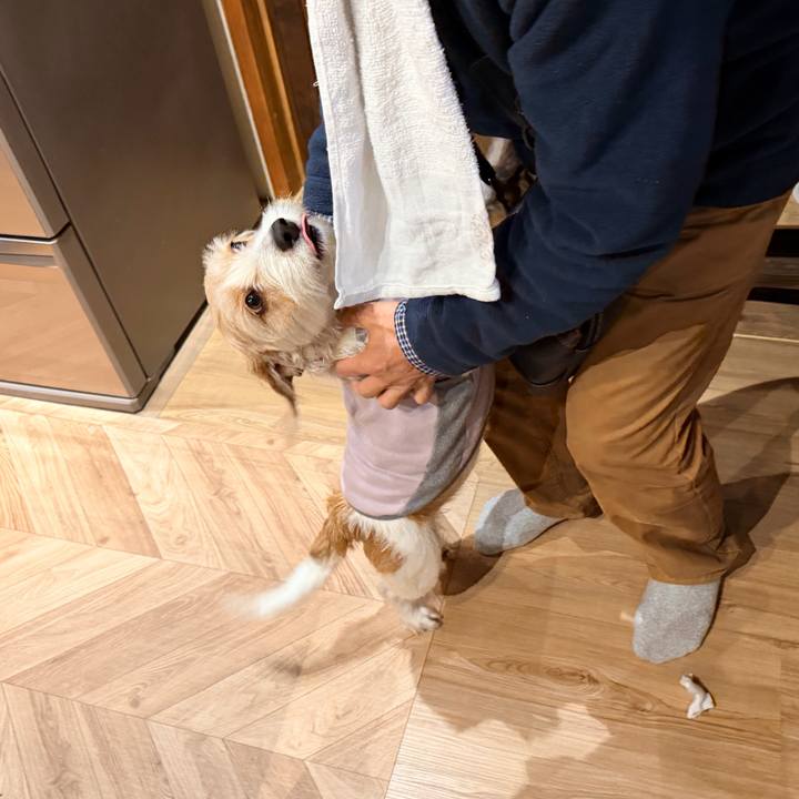 6530e13b 2b01 4f87 989f f0f41fde5e5e 1772804463400