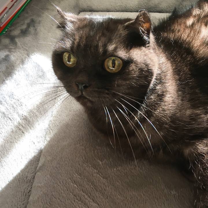 6530f065 64d0 4a3e b628 19c4b29c2762 1575086706014