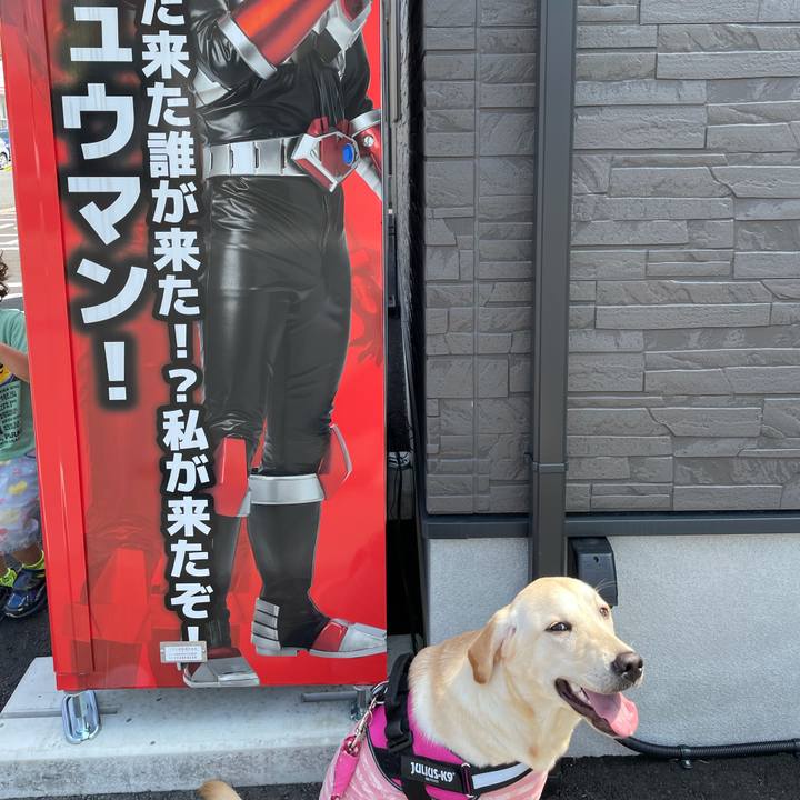 6530fa81 f085 404f 92c6 50ed65a7bb92 1624144557577