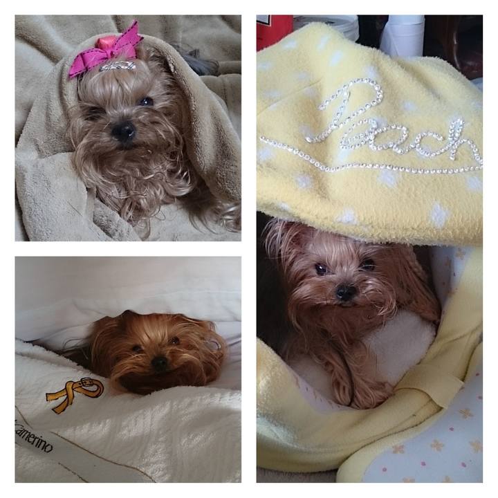 653133a5 0a9e 4483 9687 4c37a2d20922 1699847346066