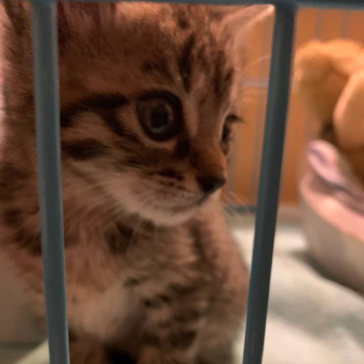 65315be8 56f6 428c a304 dde30fc08c93 1589553745406