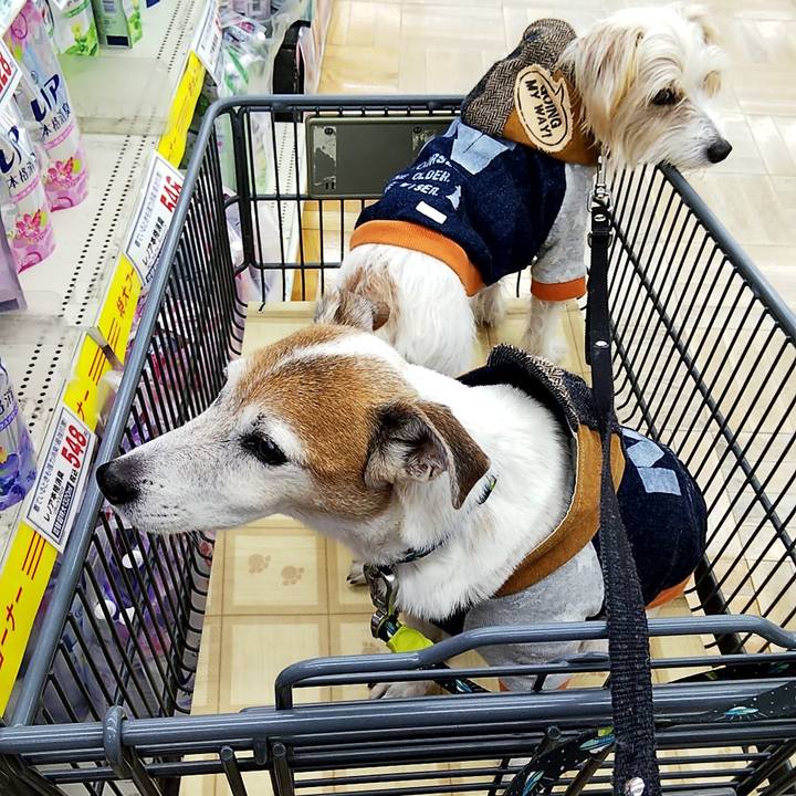 65318def e350 4792 880b 1ad39ce4ebf8 1547420801865