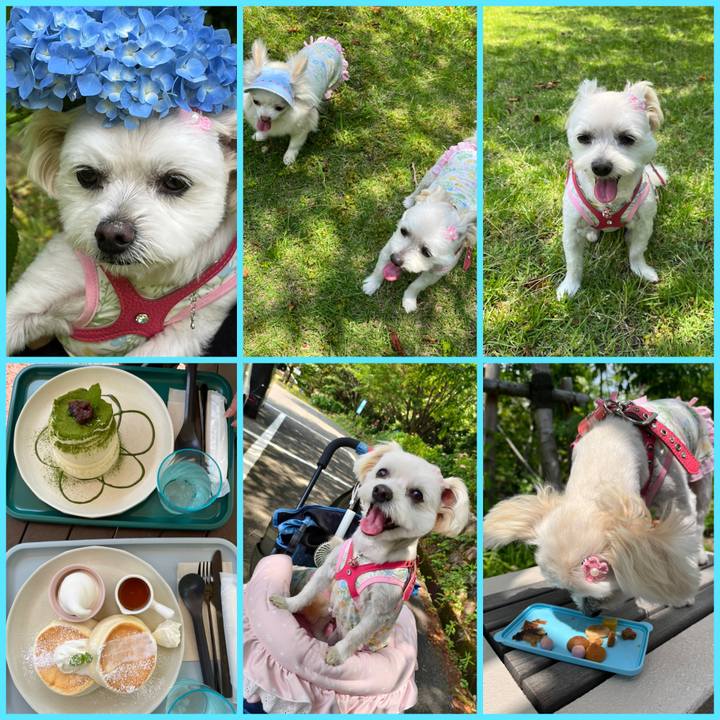 6531b474 1555 422e a1f6 82242827c55e 1654782141225