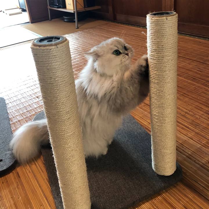 6531f889 68c9 400a ab6a 49a1358bc80c 1580716381444