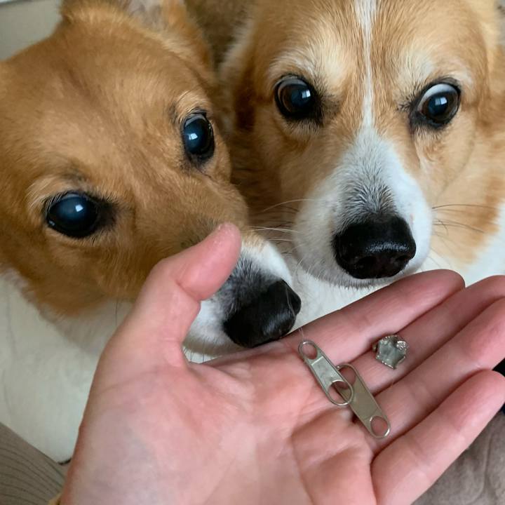 653203a8 6b53 4c9f 955d 44a1872a5871 1702946507935