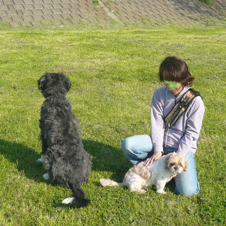 6532173e d55a 4fc1 b90f 306f6b1e3c82 1626164856006