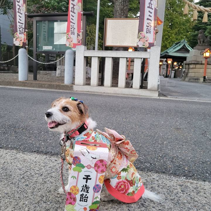 6532351d 37a0 4539 8448 897e1013d6b2 1699954572302