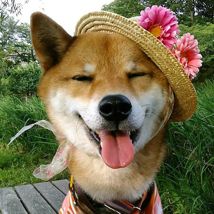 653235c3 6d72 45bc be4b edf842cebf21 1530004658812