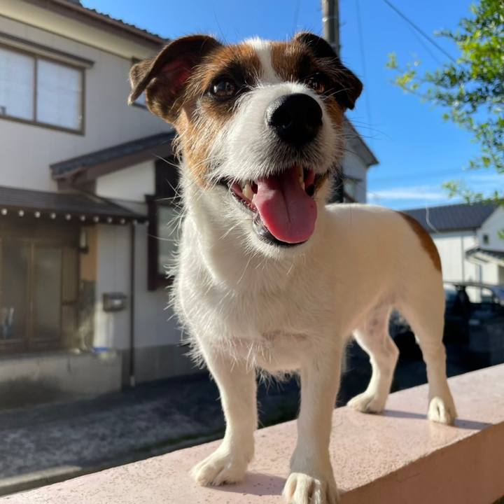 653255cd 6a12 4f55 8517 53b095c12674 1663113448846