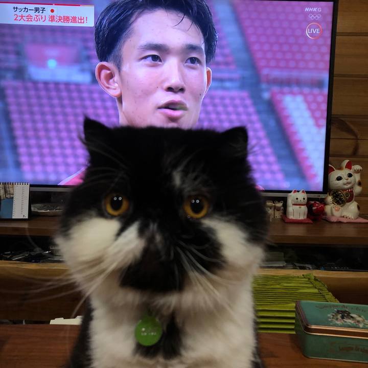 65327c26 e4e9 4428 9302 fec76d0d0671 1627733033379