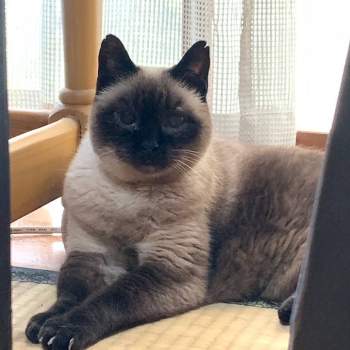 65329be2 2797 43bd a6b9 6d176ad27924 1563796127649