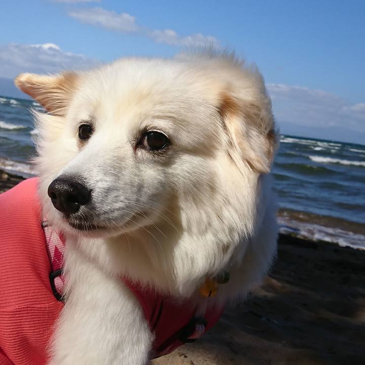 6532aae7 cb9f 4b06 ae35 ef5754023cd1 1550405320079