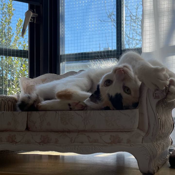 6532caaf 68b2 45cc 8b14 d4a8ae351487 1674951222638