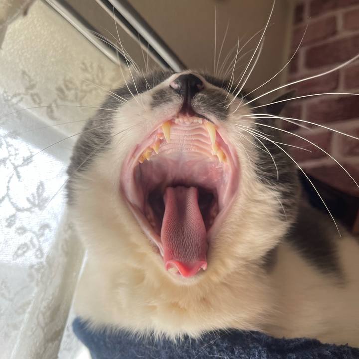 6532fc93 291a 4d6b 9142 7f65864a35cb 1738288891130