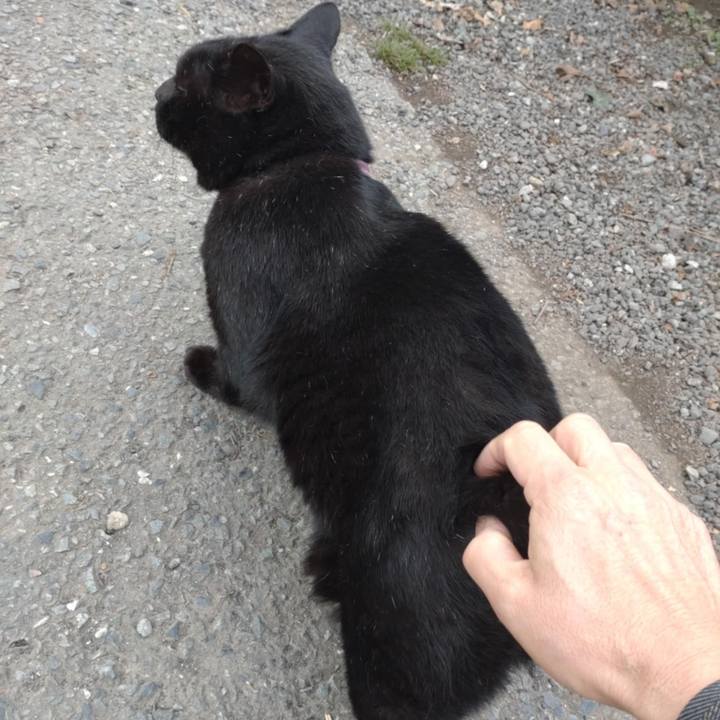 65331dfb e222 404a b67e ac1e0a5e50d8 1732579881881