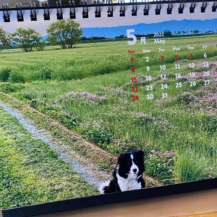 65334758 82b4 40c5 85c9 d1f1b6e9b76a 1651355379983