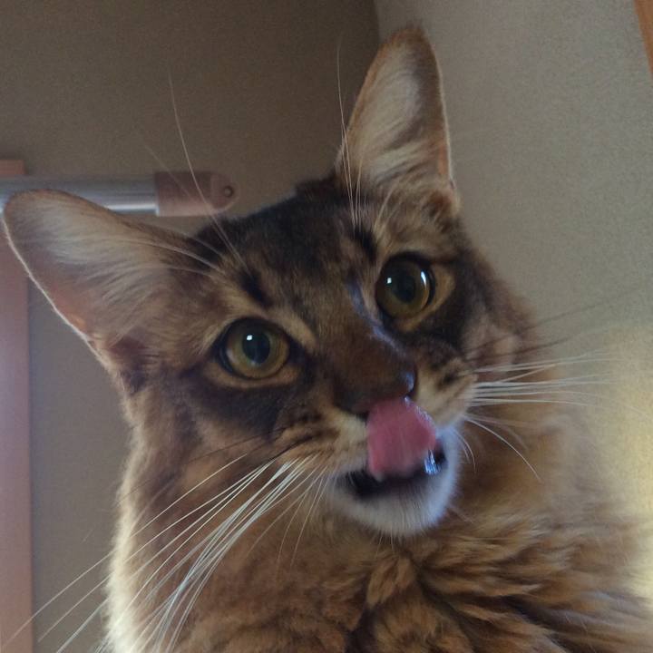 6533c733 f2cc 446d 9cbe ffafa08bd896 1609974587729