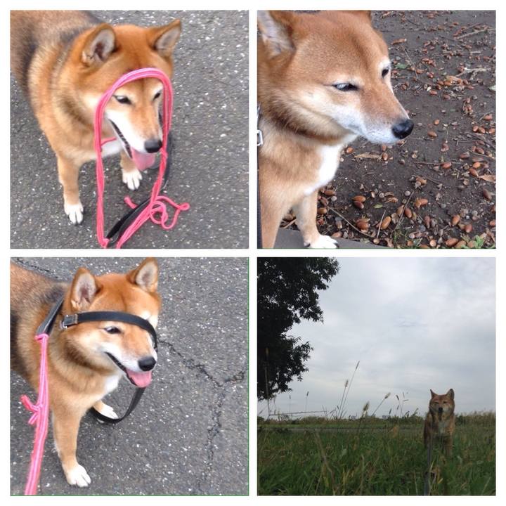 6533d305 73ea 4593 ae3a 337c80ee292a 1508833051248