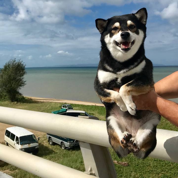 65340149 961b 4ee7 bec5 2374318e5e3e 1510195987864