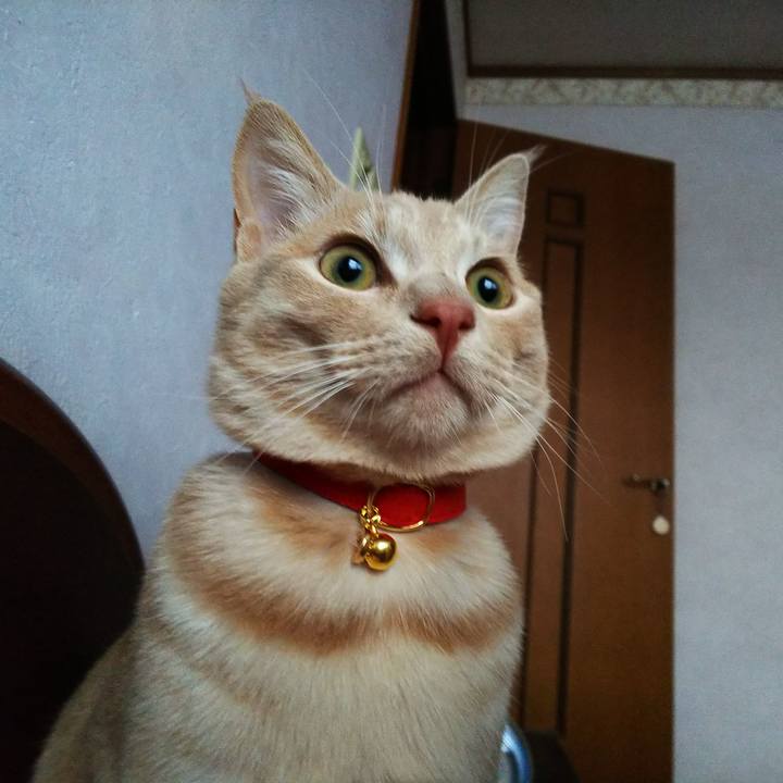 65340f69 8f6c 46f5 819f c7b2822c06c6 1553124669773