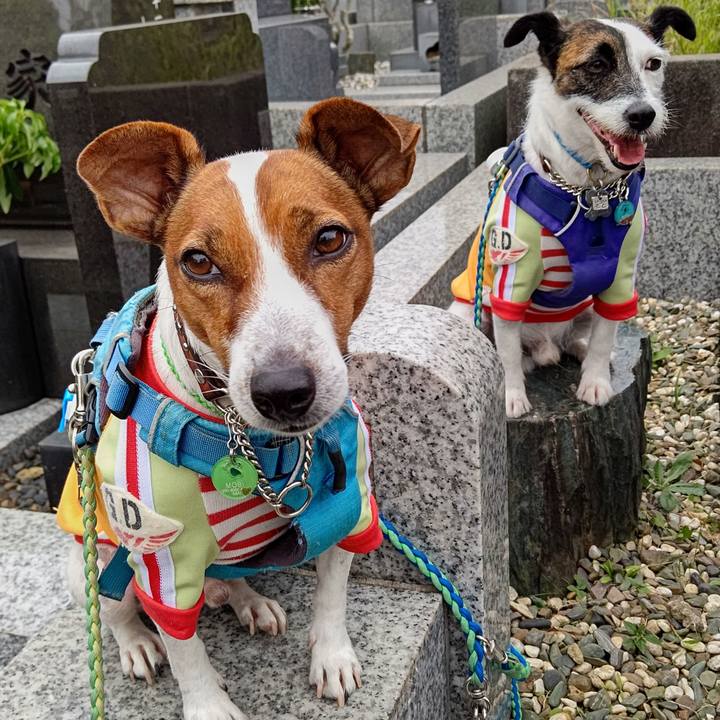 6534103e 08a3 4f05 abed 081603da0ab8 1632618631967