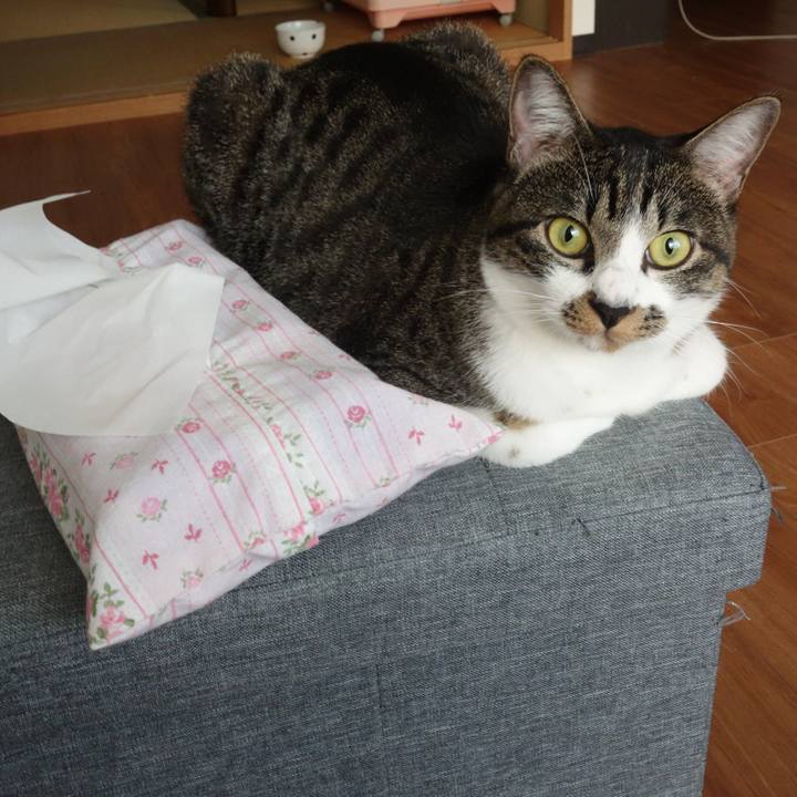 65347e7b 0b38 4b8e 9acb a884a9c7d793 1761266820512