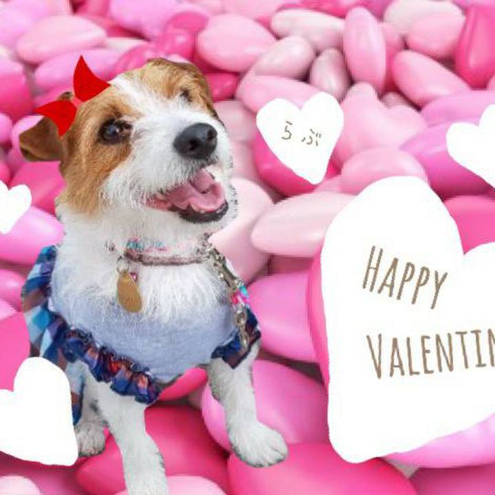 653485fd 499e 45ca 89dc 747b226f4eaf 1581597893195