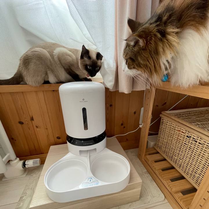 653499a0 4377 4da9 8787 35b15961270b 1715855458997