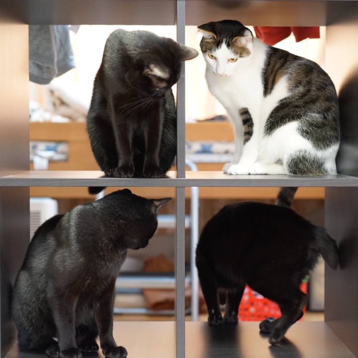 65349ab8 508e 43b8 b4d8 65ae45e072c0 1553040952022