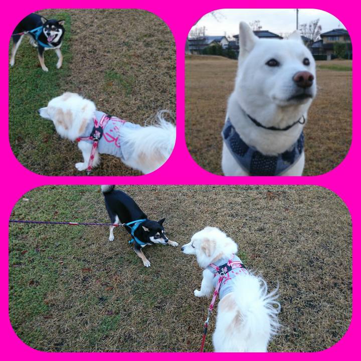 65349d9a cb6b 41a4 a8fc 2aea771aaa36 1511478923860