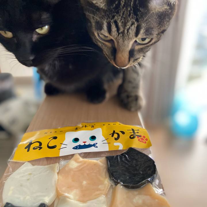 65351655 adbe 4d66 97ca 82a6cc5ef733 1649330166477