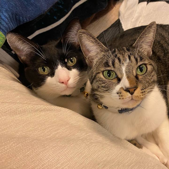 65353f08 85ef 47ab b386 f062f8159606 1769207910996