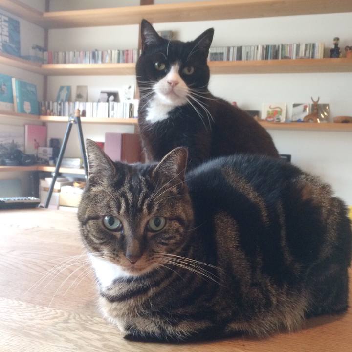 65355509 3faa 45cf b386 53b8b925186d 1519171907489