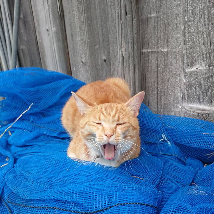 65359df6 4c4e 4991 a077 2469670db74b 1593931510729