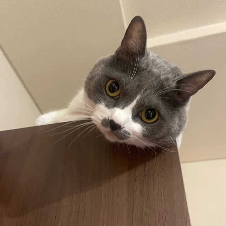 6535d354 0841 4bc3 93a6 af2e3e5312b8 1729933299609