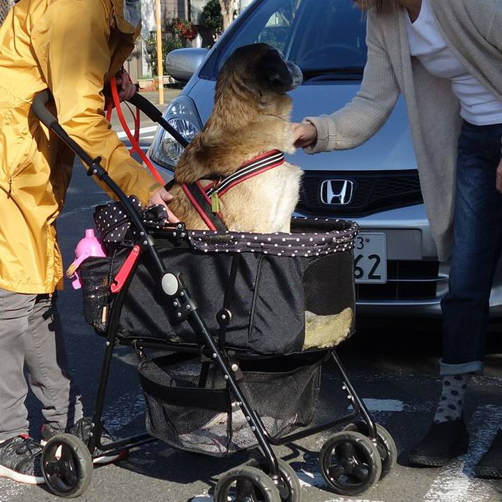 6535e527 1672 453b b738 6b9a0d072969 1573259318755