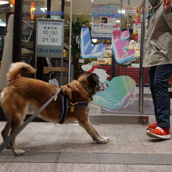 6536229f 3147 4ee5 8293 041e6f7278c5 1545563422757