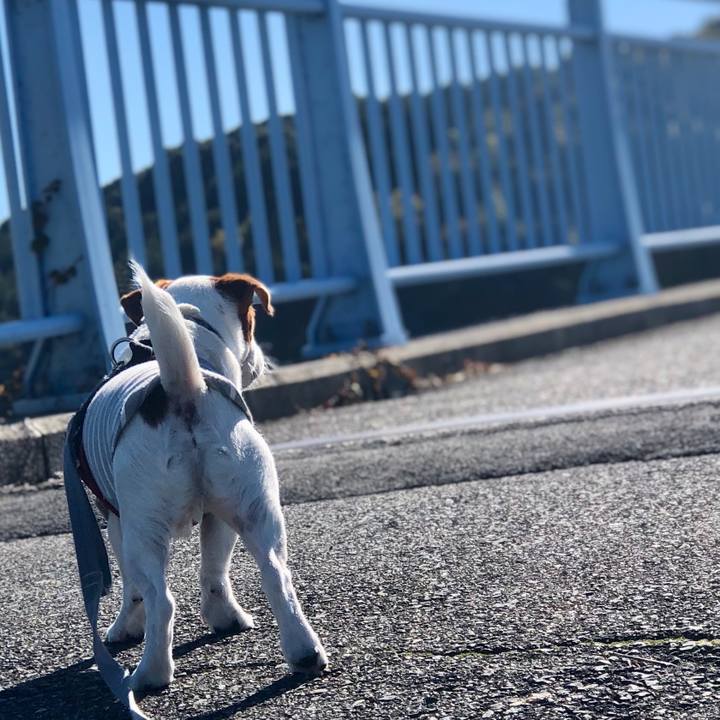 65362504 f5e6 4651 a422 4bfe1ea21b70 1701057723648