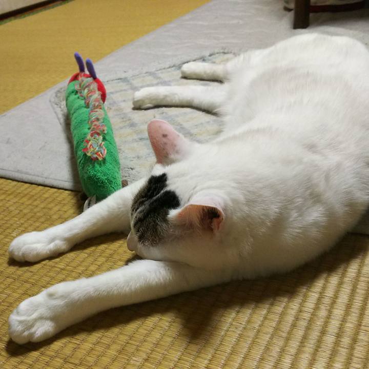 65362a2b e60e 476e be0d 878fdfb32d5d 1520782486321